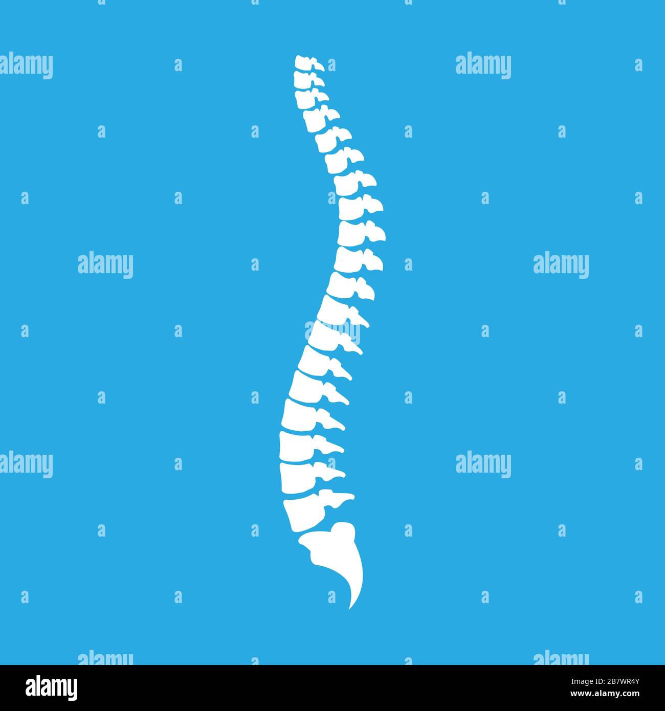 Tailbone Stock Vector Images Alamy