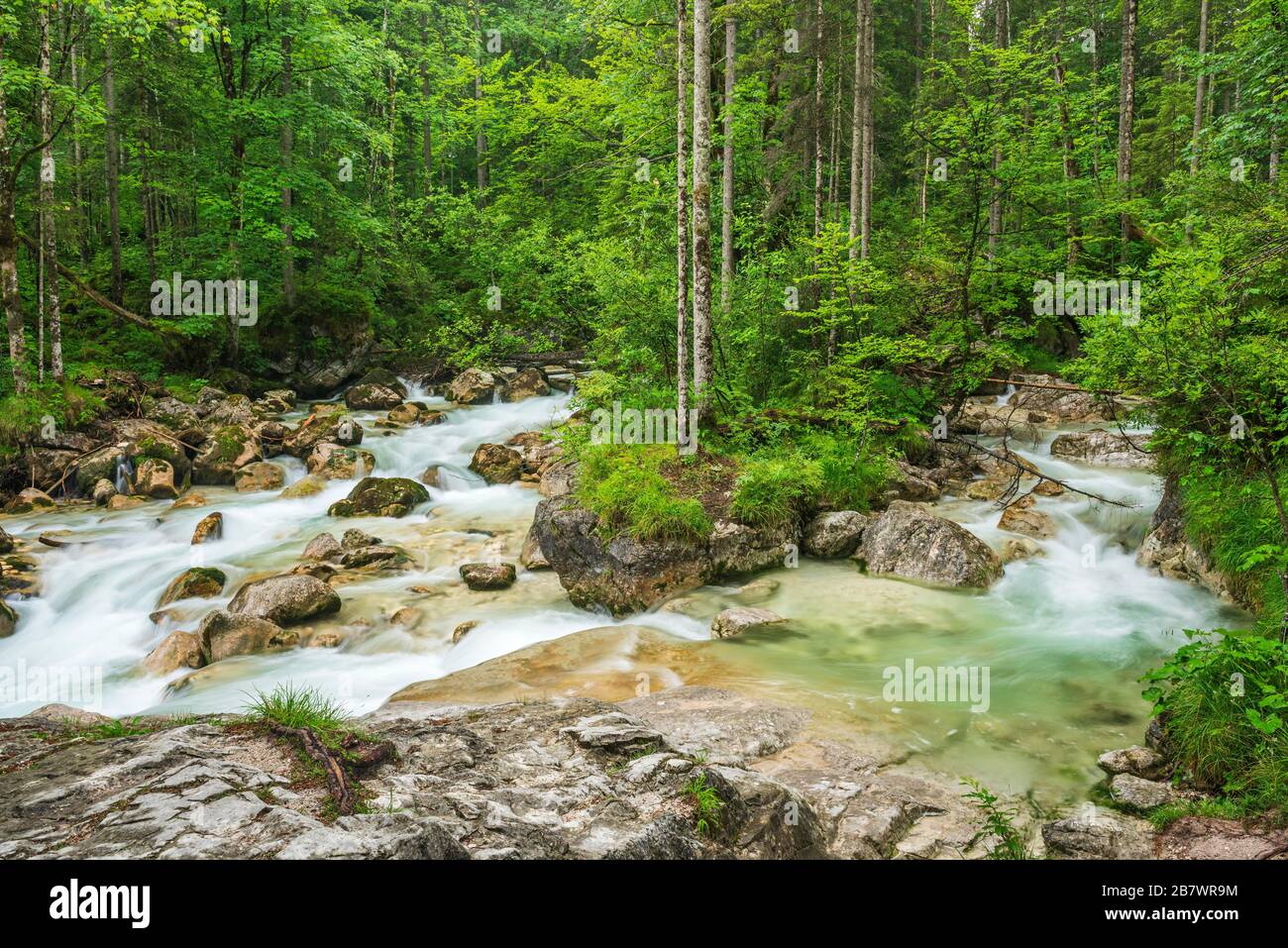 Mountain stream Ramsauer Ache in the enchanted forest, Berchtesgaden National Park, Ramsau, Berchtesgadener Land, Upper Bavaria, Bavaria, Germany Stock Photo