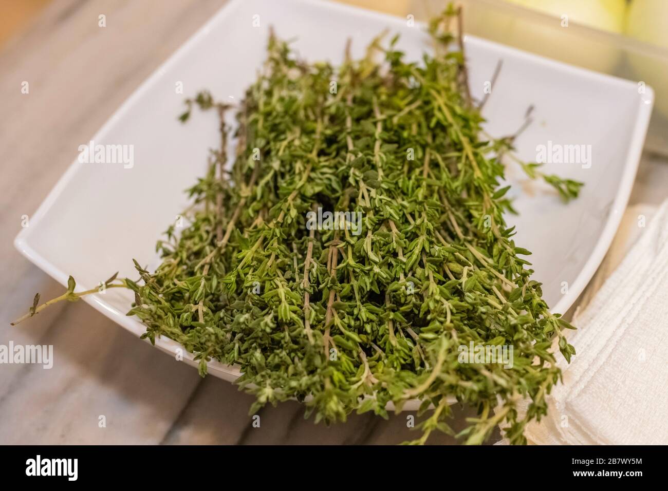 Green thyme in a white bowl on a board, closeup Stock Photo