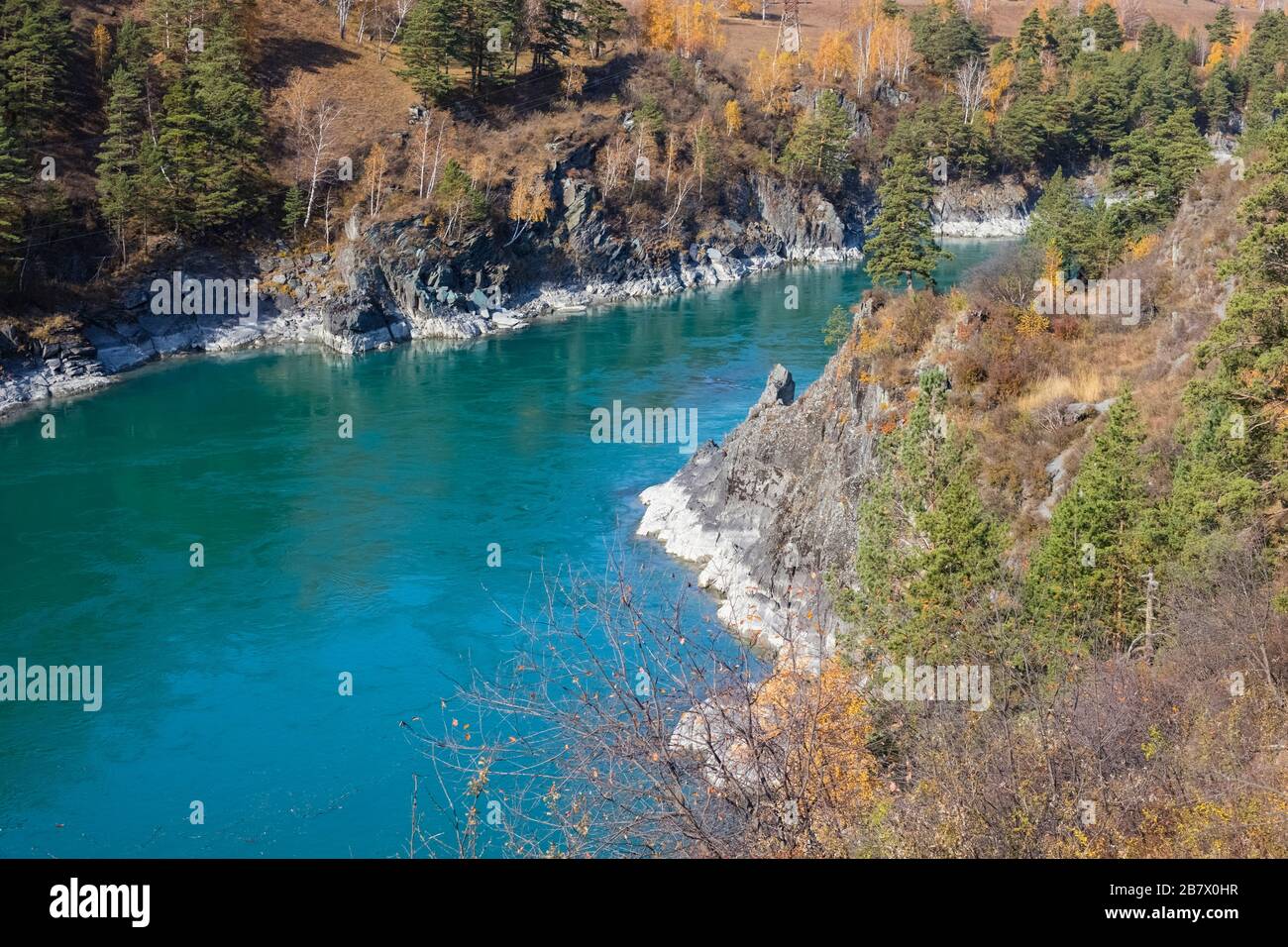 Turquoise river Katun in the Altai mountains on a sunny day. Altai Territory in Siberia Stock Photo