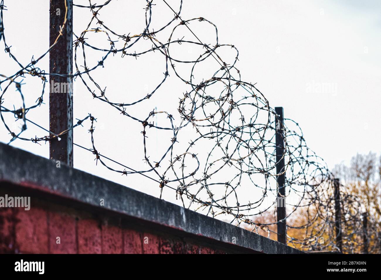 Barbed wire spiraling on top of a red brick wall. Blurred conceptual ...