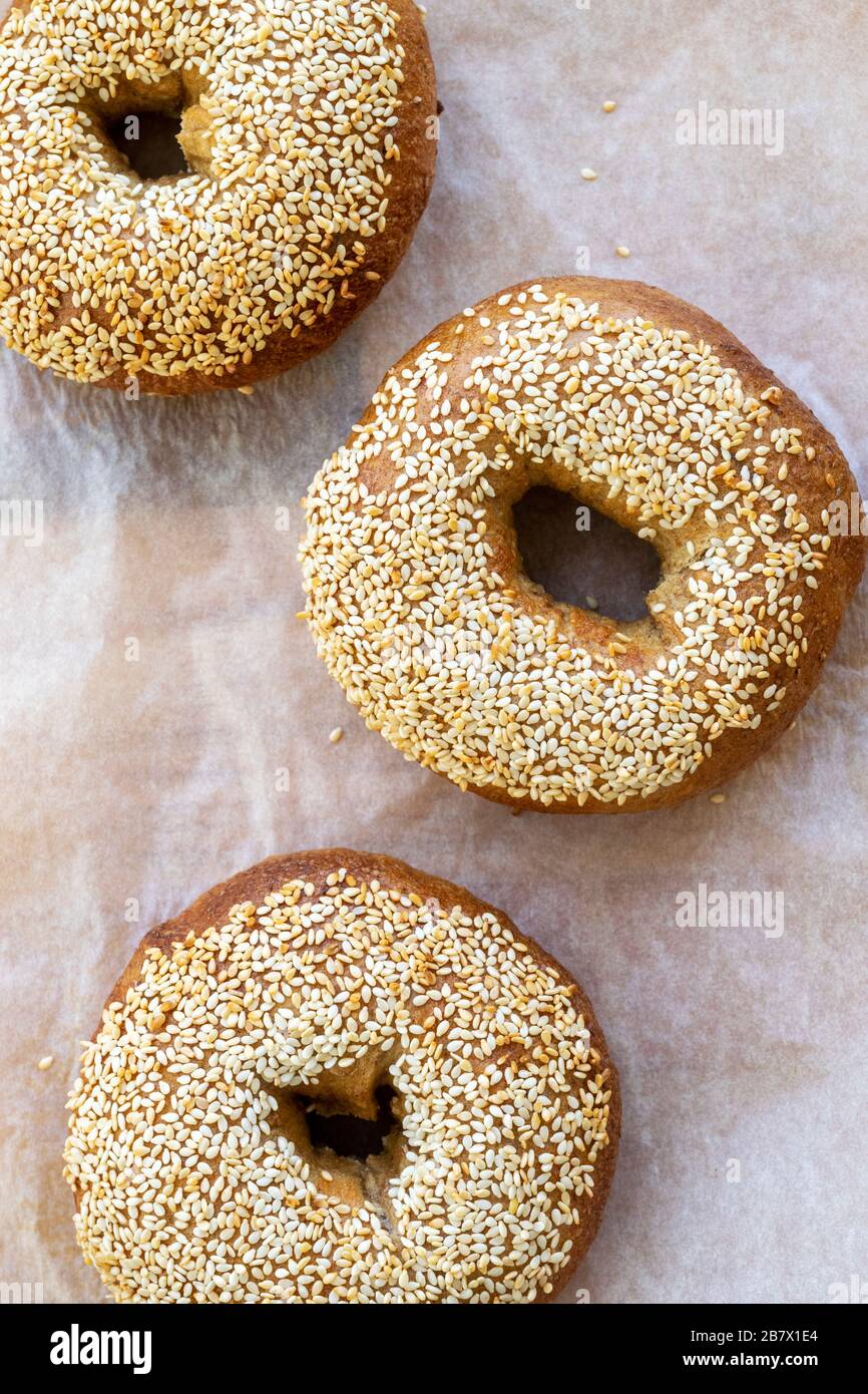 Three freshly made sesame seed bagels cooling Stock Photo Alamy