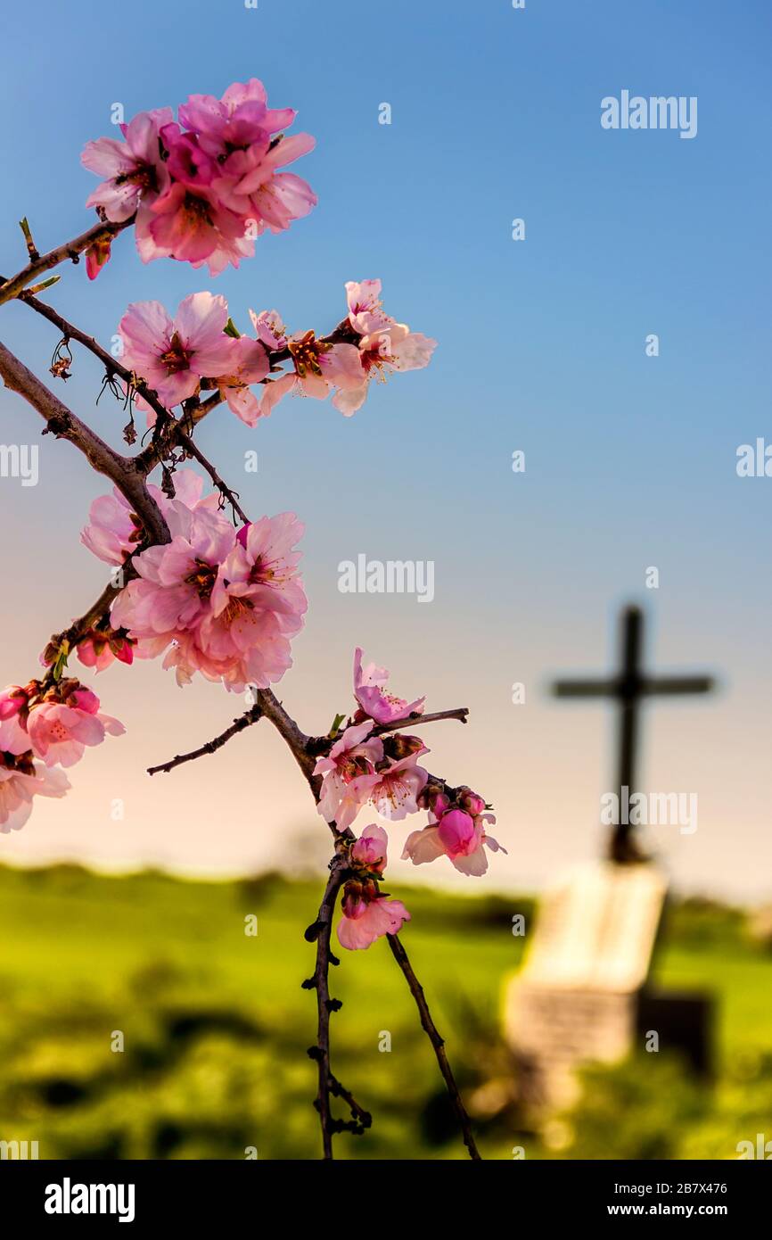 EASTER. Death and rebirth: the tomb and almond flowers. Stock Photo