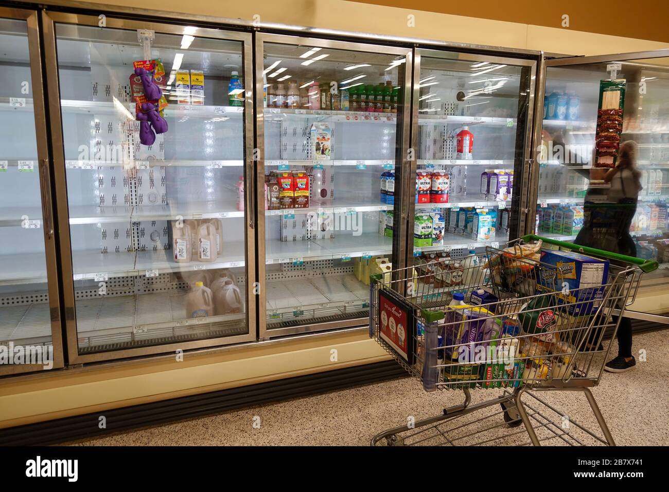 Orlando, FL/USA3/14//20 Empty milk display shelves at a Publix