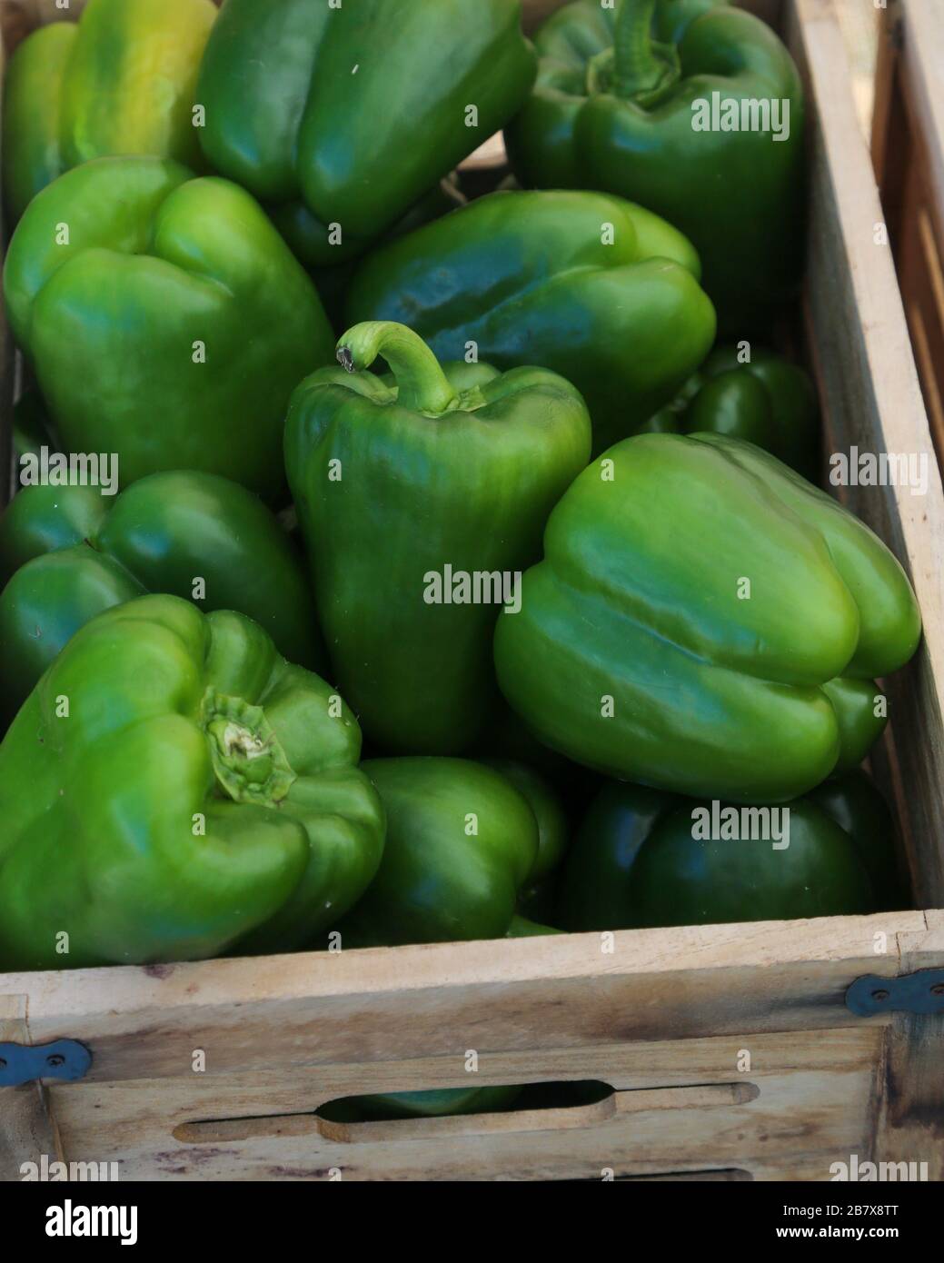 Green Peppers in a Crate at the Farmers Market in Neptune Beach