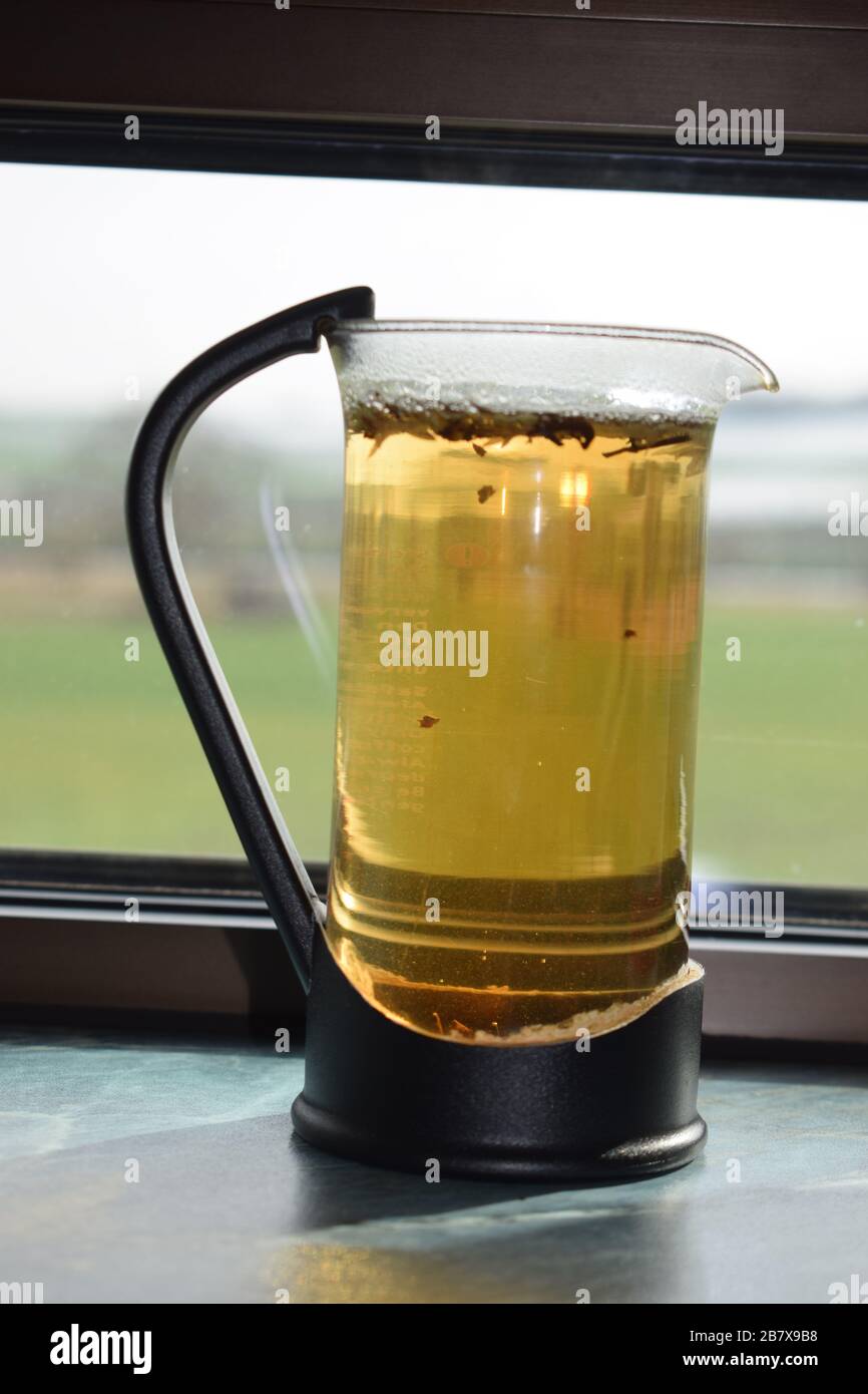 French press with tea Stock Photo Alamy