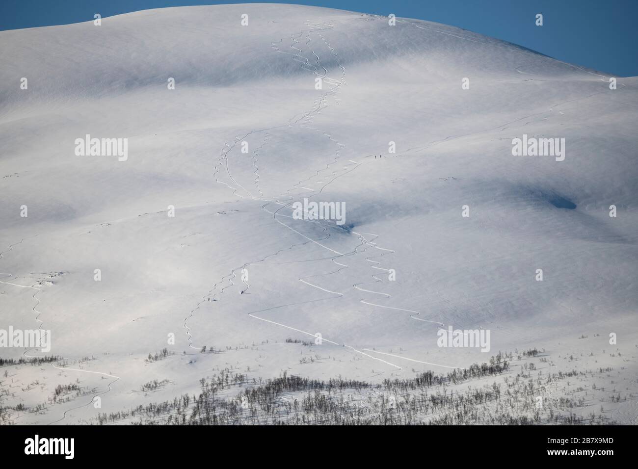 Ski trails, near Tromso, Norway. Stock Photo