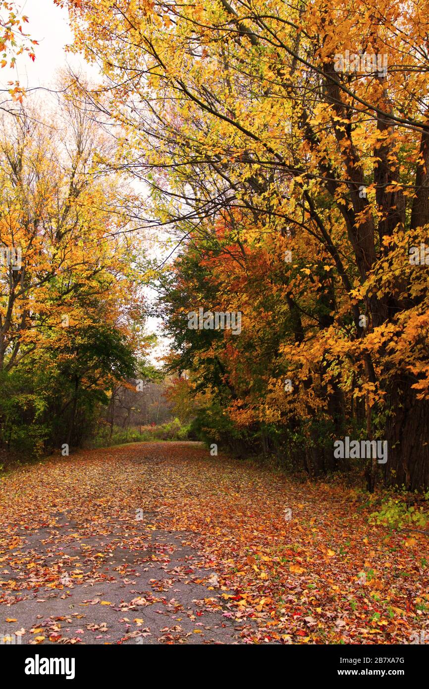 Fall colors in upstate ny by imaginee on DeviantArt