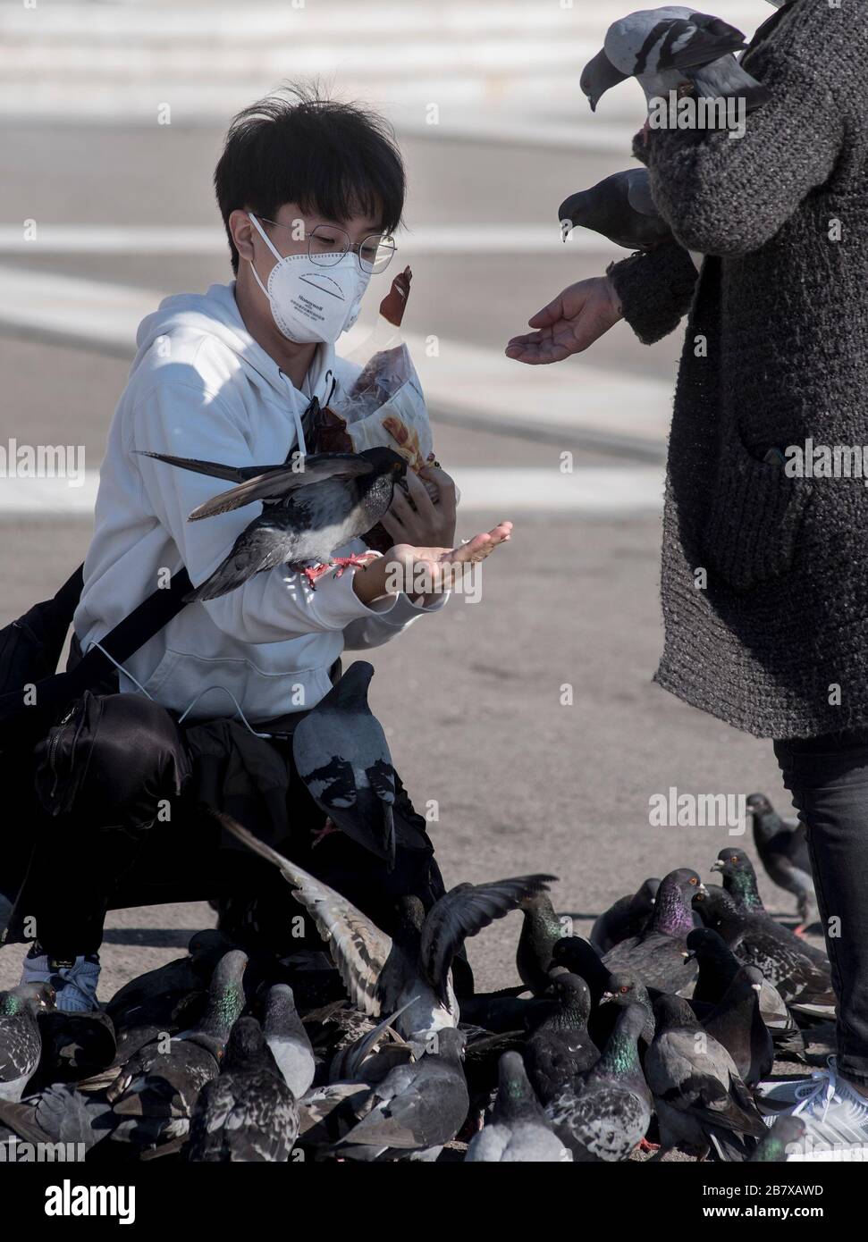 Pigeons spread disease hires stock photography and images Alamy