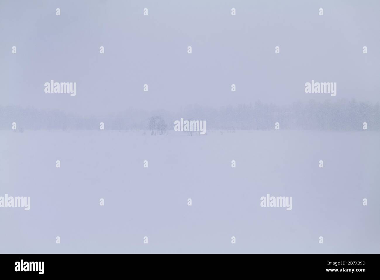 White-out conditions in Tromso, Norway. Stock Photo
