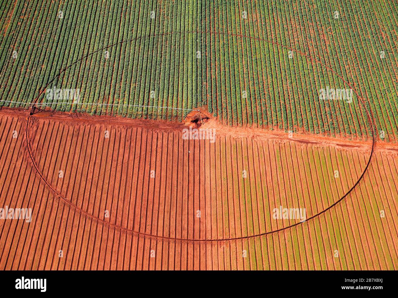 Aerial view of agricultural land Stock Photo