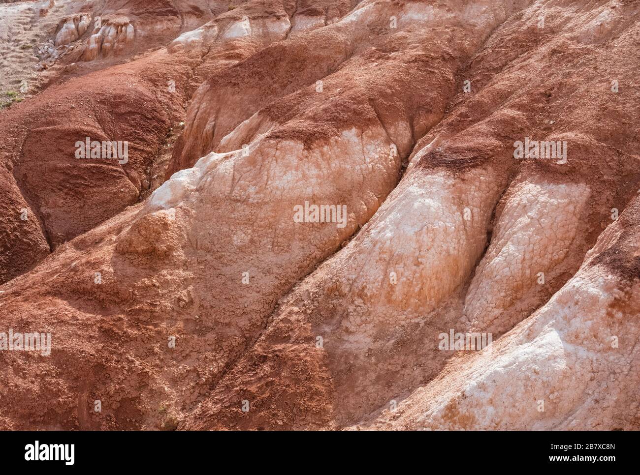 colorful mountains of Altai, the nature of Siberia. Background Texture Stock Photo