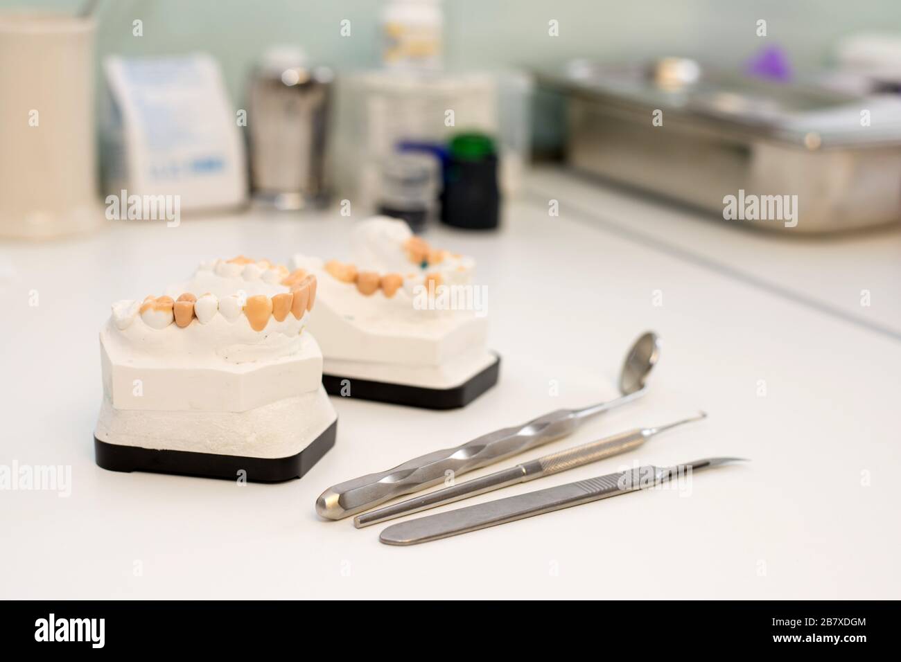 dental gypsum models, dentist's office Stock Photo Alamy