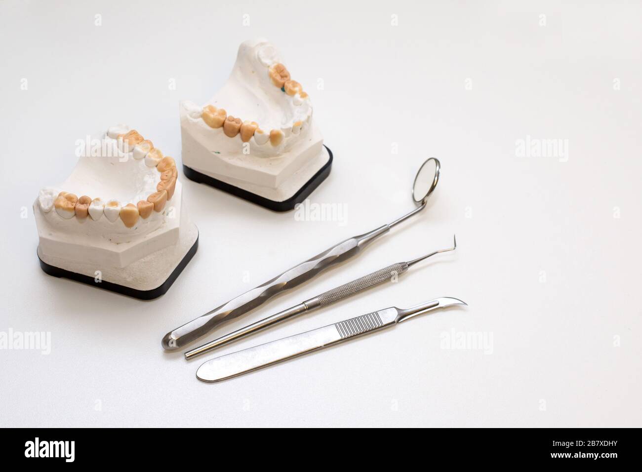 dental gypsum models, dentist's office Stock Photo Alamy