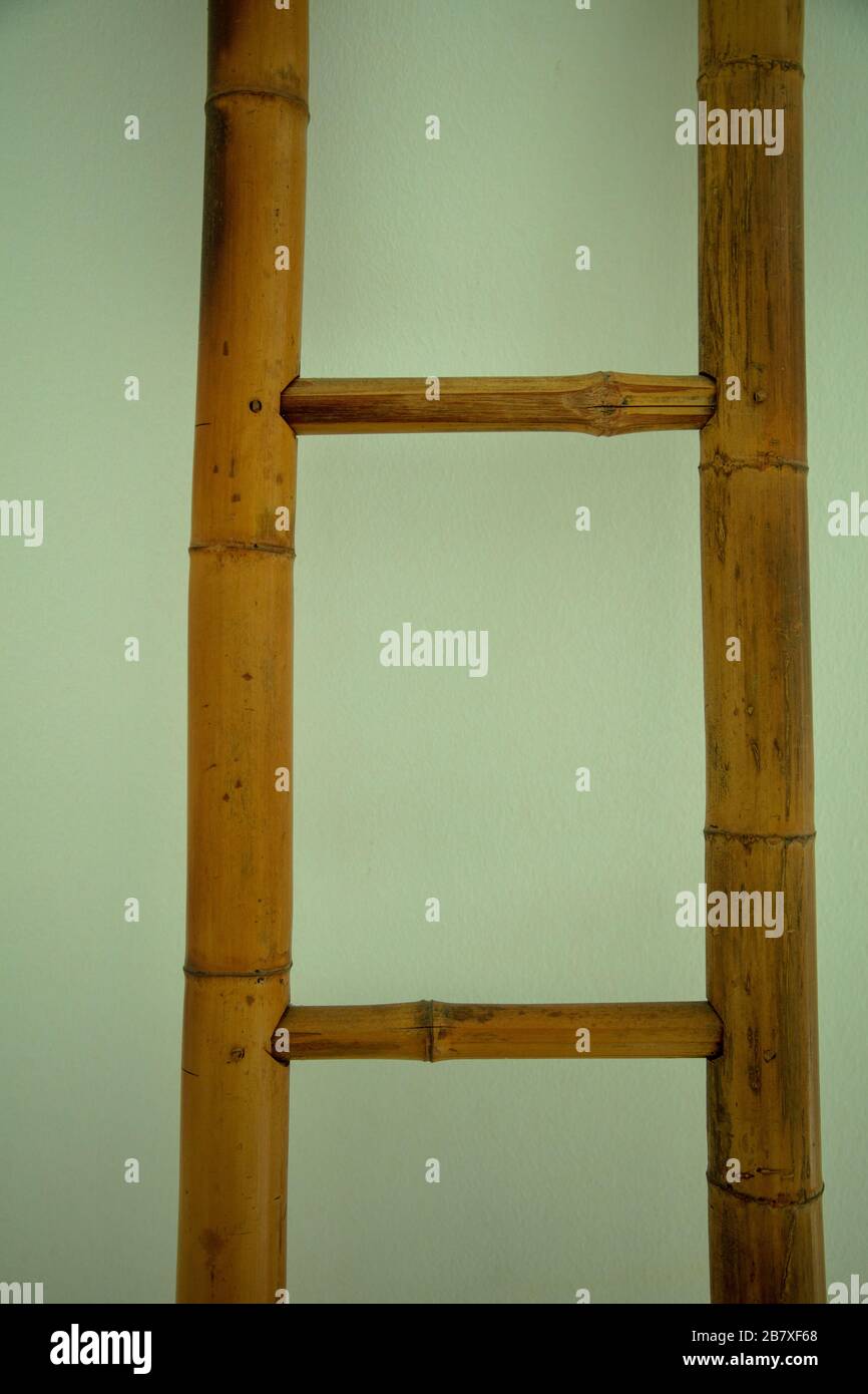 Sturdy bamboo hires stock photography and images Alamy
