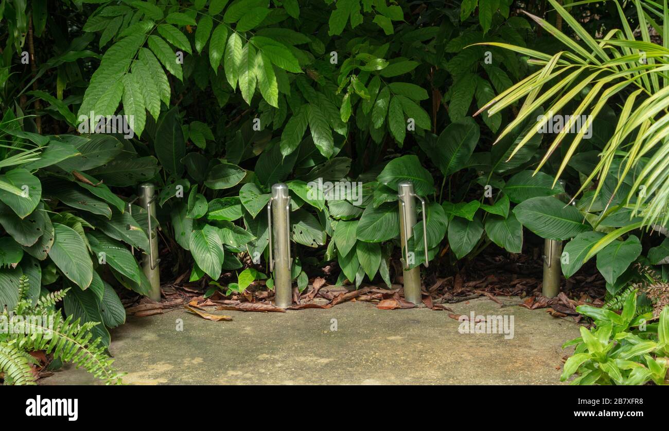 Low level bicycle rack seen near the entrance of Singapore Botanic Gardens. Stock Photo