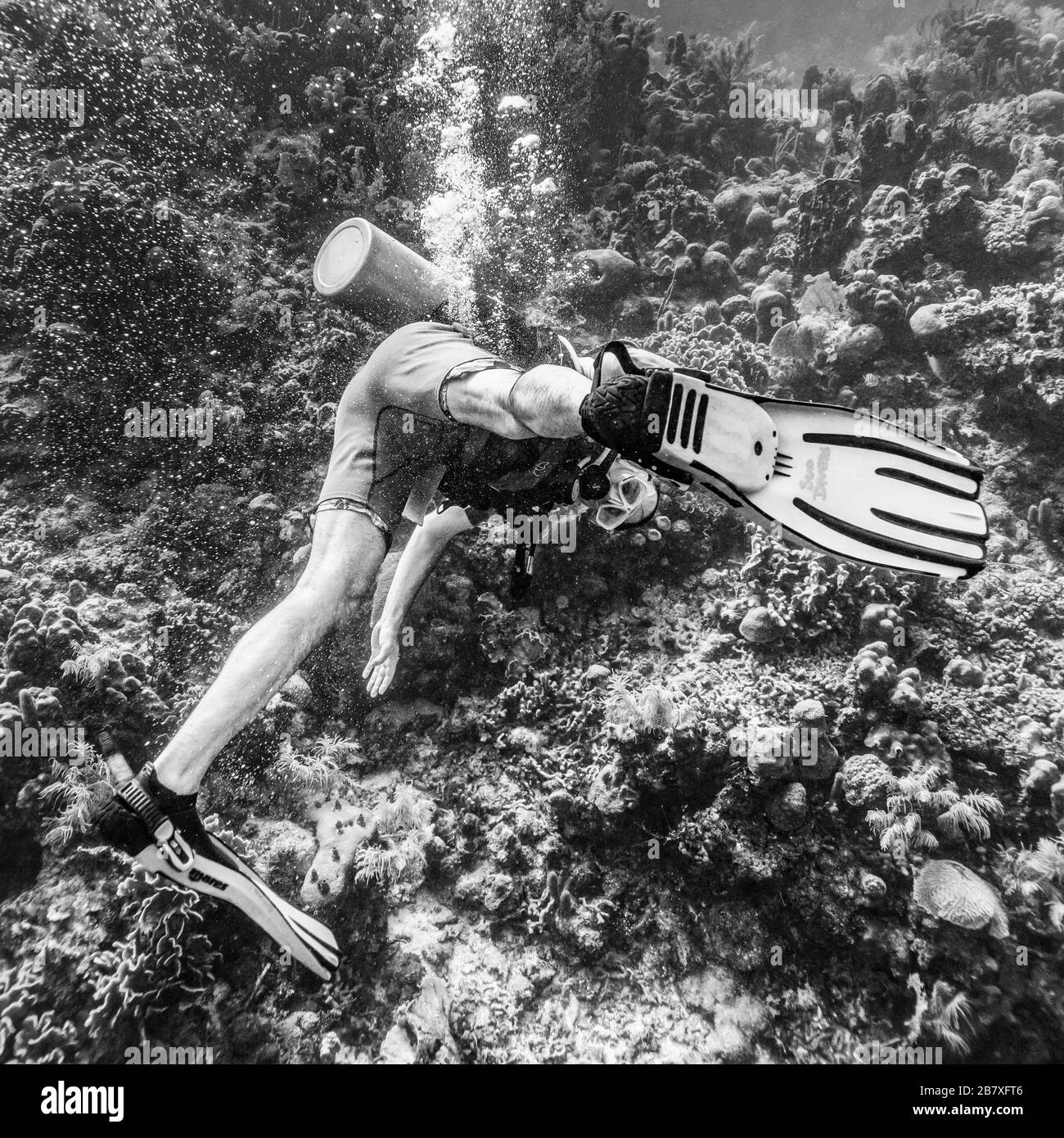 Full length image of diver Black and White Stock Photos & Images Alamy