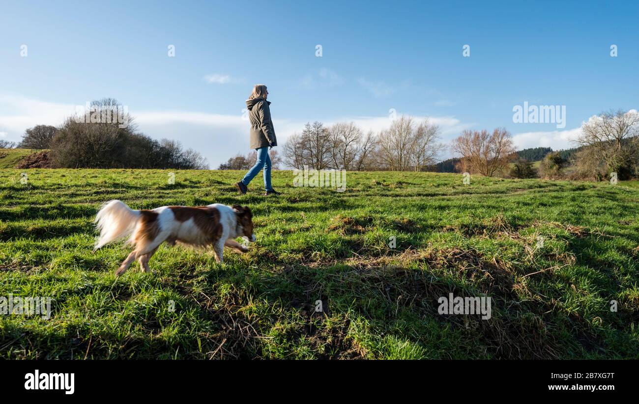 A girl walking her dog in Winter. Stock Photo