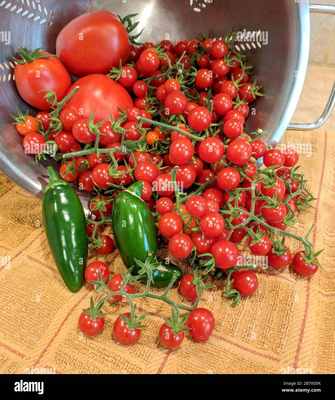 Harvest from my backyard garden for some salsa Stock Photo