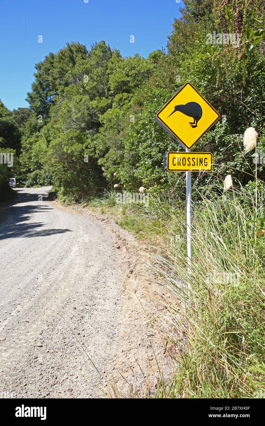 Road sign warning for kiwis crossing, New Zealand Stock Photo