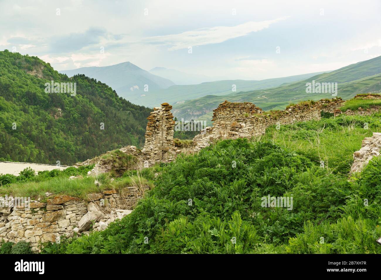 Grassy stone ruins in the ancient settlement of Hoi against the backdrop of the picturesque mountains of the Greater Caucasus. Masonry without mortar. Stock Photo