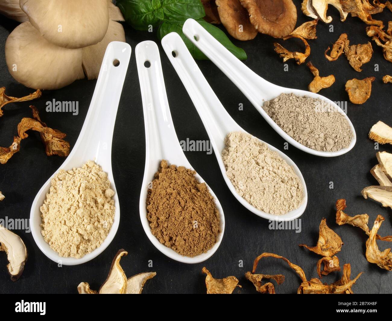 Medicinal fungi hires stock photography and images Alamy