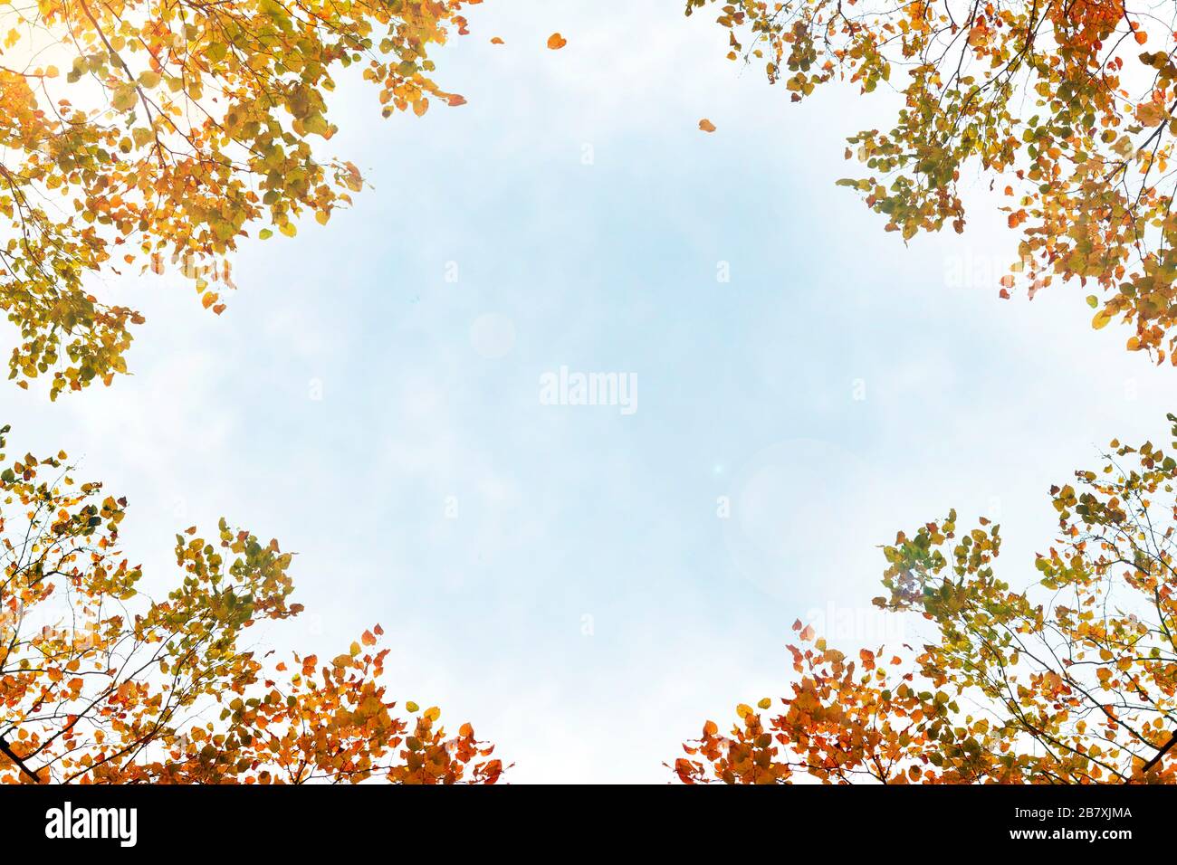 Background Frame of Autumn Leaves with Blue Sky Copy Space Stock Photo ...