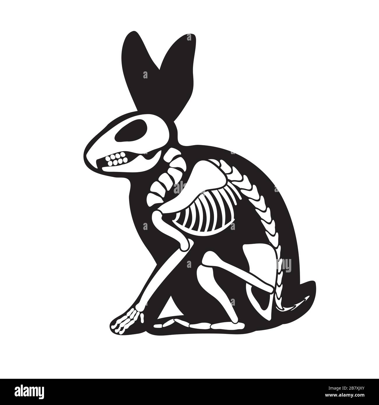 Hare is a black skeleton silhouette on a white isolated background. Vector image Stock Vector