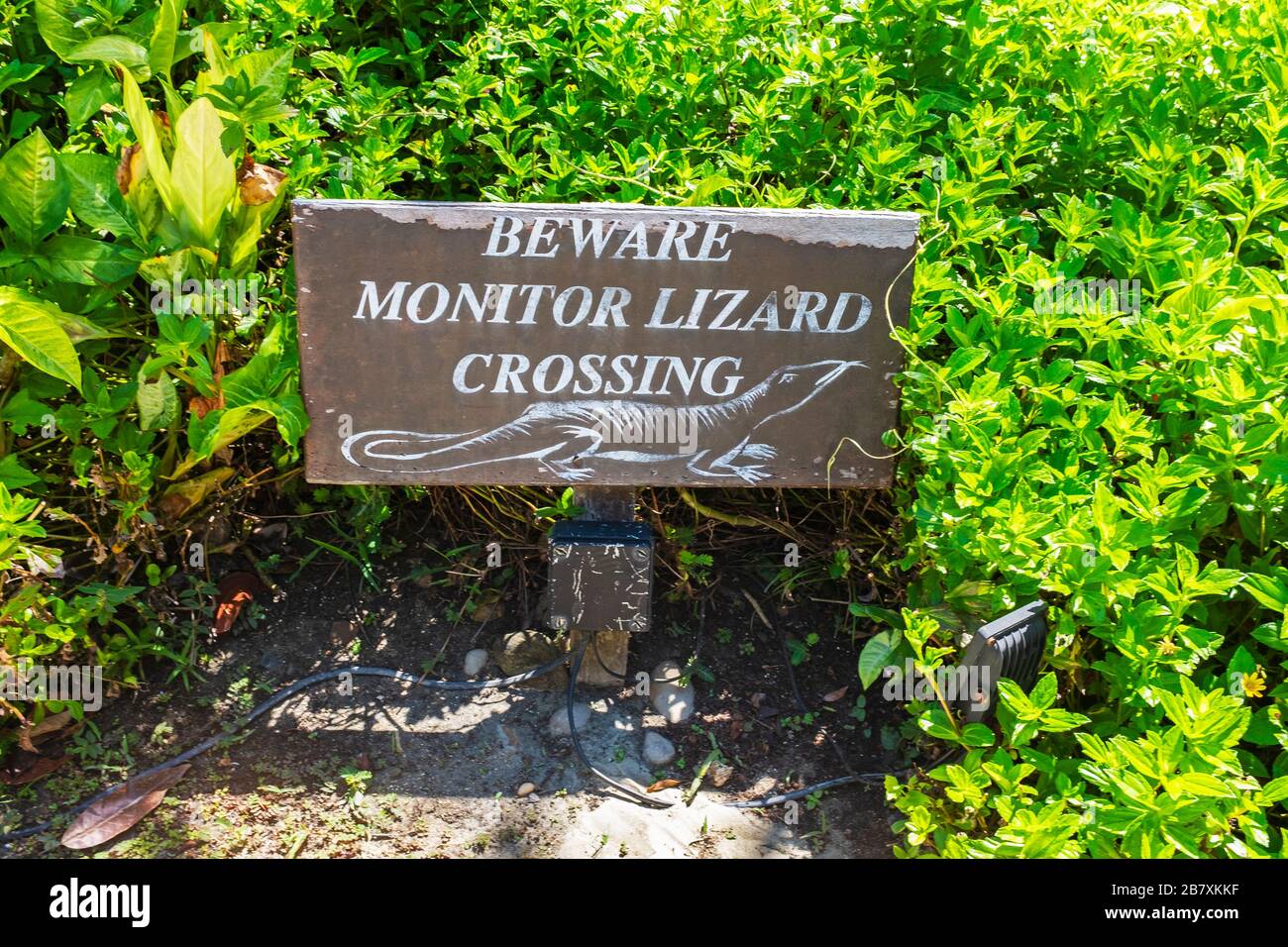 Warning sign for monitor lizards in local hotel, Langkawi, Teluk Datai, Malaysia, Asia Stock Photo