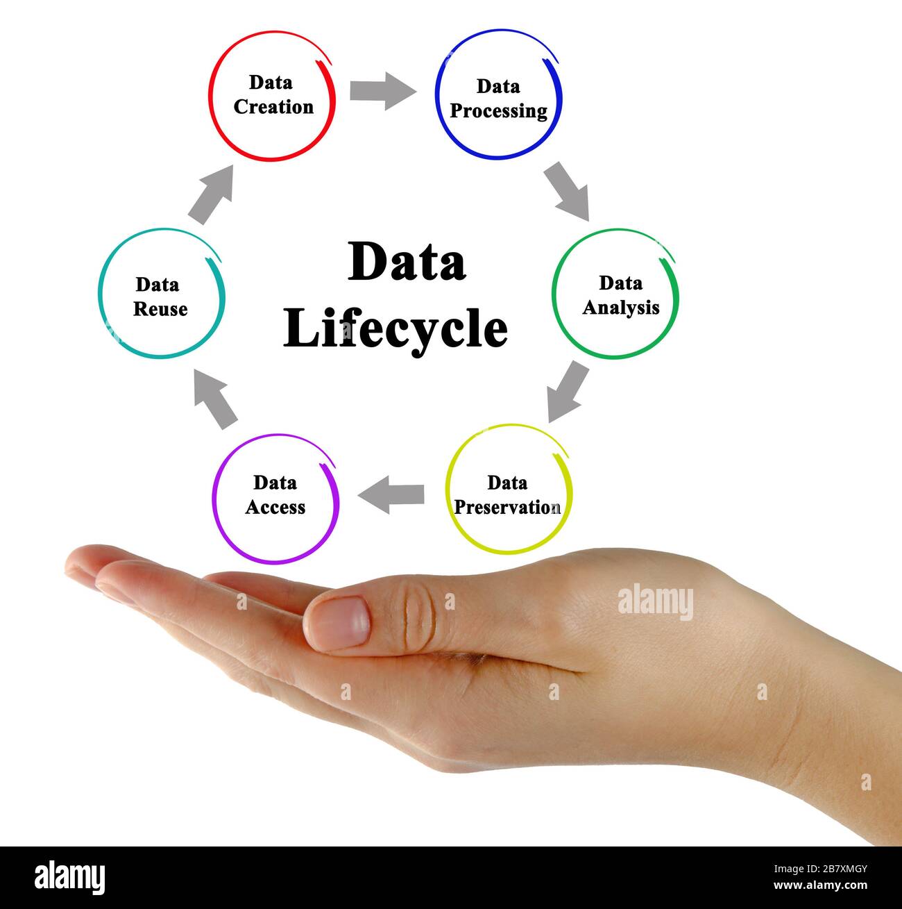 Stages of Data Life cycle Stock Photo - Alamy