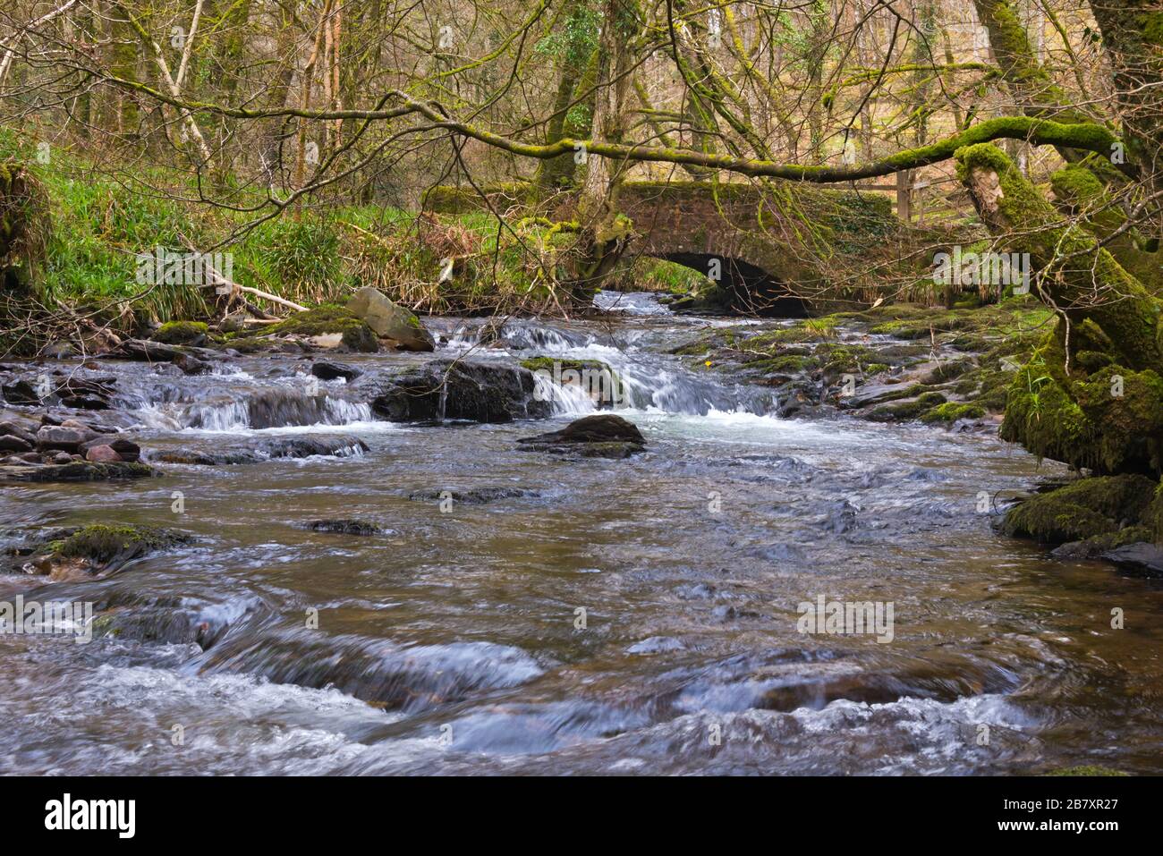 the meeting of Dane Brook and River Barle at Castle Bridge on the Exe Valley Way just west of Dulverton in the Exmoor National Park, England, UK Stock Photo