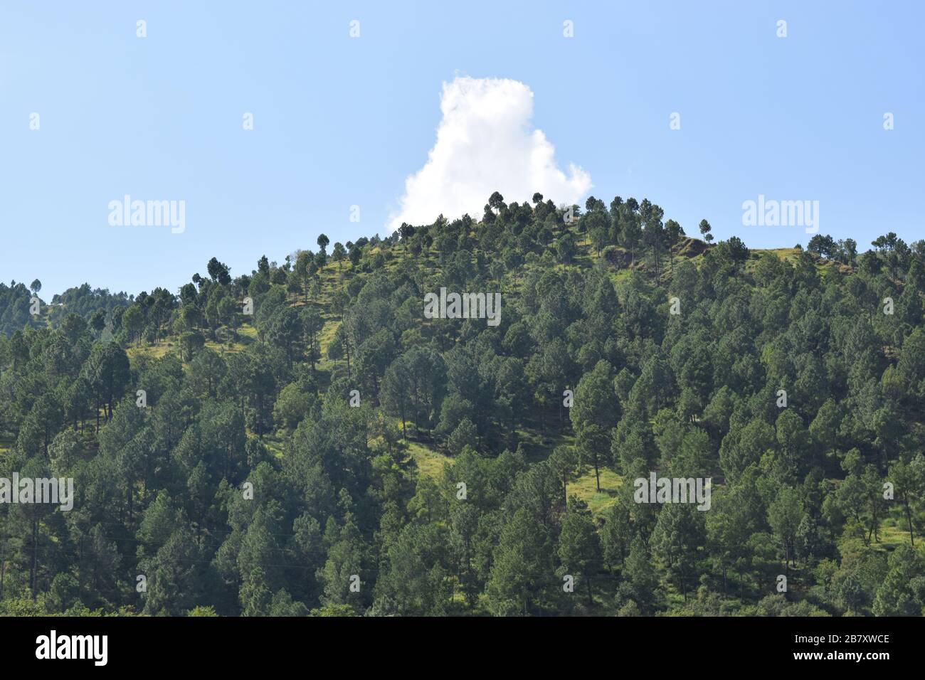 View of green mountains hi-res stock photography and images - Alamy
