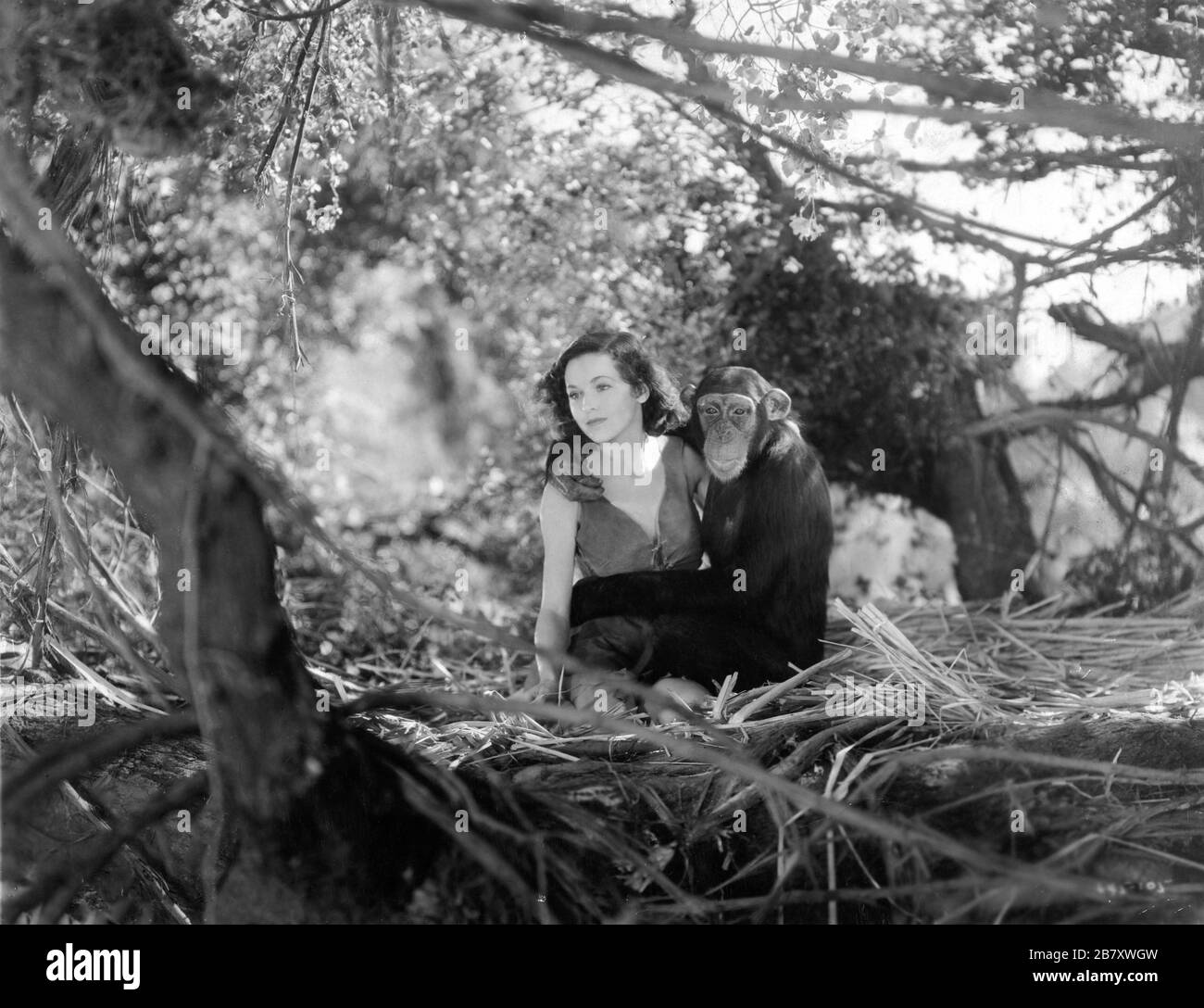 MAUREEN O'SULLIVAN as Jane Parker with CHEETAH in TARZAN AND HIS MATE 1934 directors CEDRIC GIBBONS and JACK CONWAY characters EDGAR RICE BURROUGHS Photo by TED ALLAN Metro Goldwyn Mayer Stock Photo