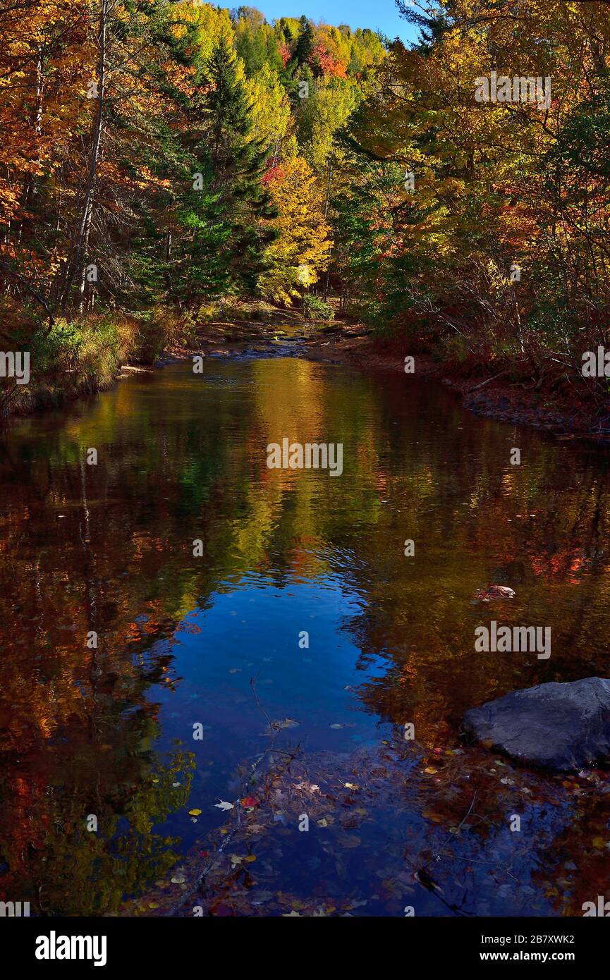 An autumn landscape of a rural stream with colorful fall reflections in the deciduous forests of New Brunswick Canada Stock Photo
