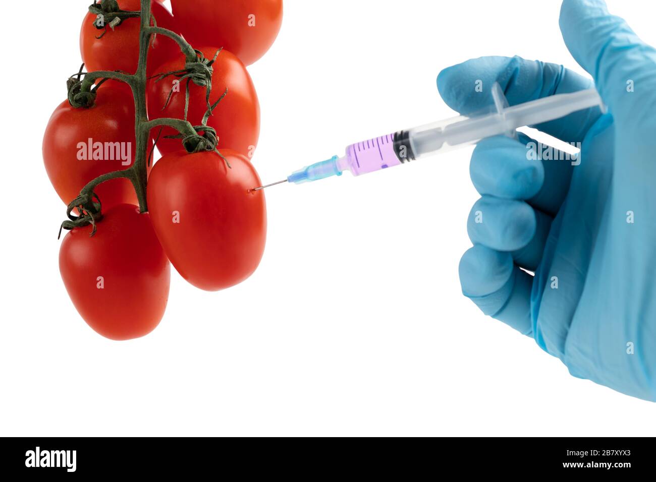Gmo concept scientist makes injection hi-res stock photography and ...