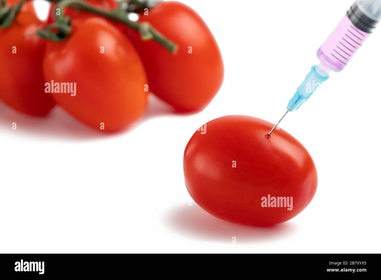 GMO food and chemicals in vegetables concept. Ripe Tomato Syringe Injection Stock Photo