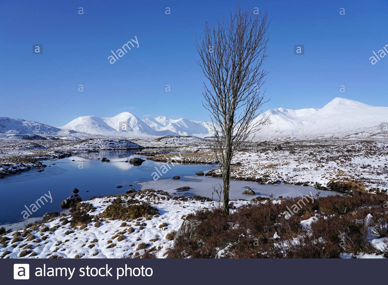 Sun and snow in the Scottish Highlands, Blackmount ridge and Rannoch moor, Scotland Stock Photo