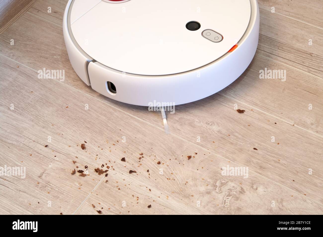 Robotic vacuum cleaner removes breadcrumbs from the laminate wood floor. Smart cleaning technology. Stock Photo