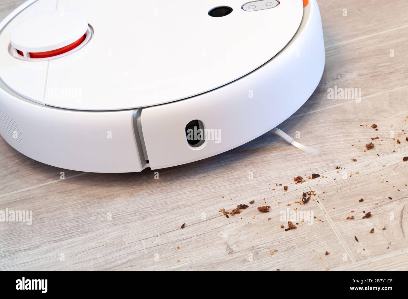 Robotic vacuum cleaner removes breadcrumbs from the laminate wood floor. Smart cleaning technology. Stock Photo