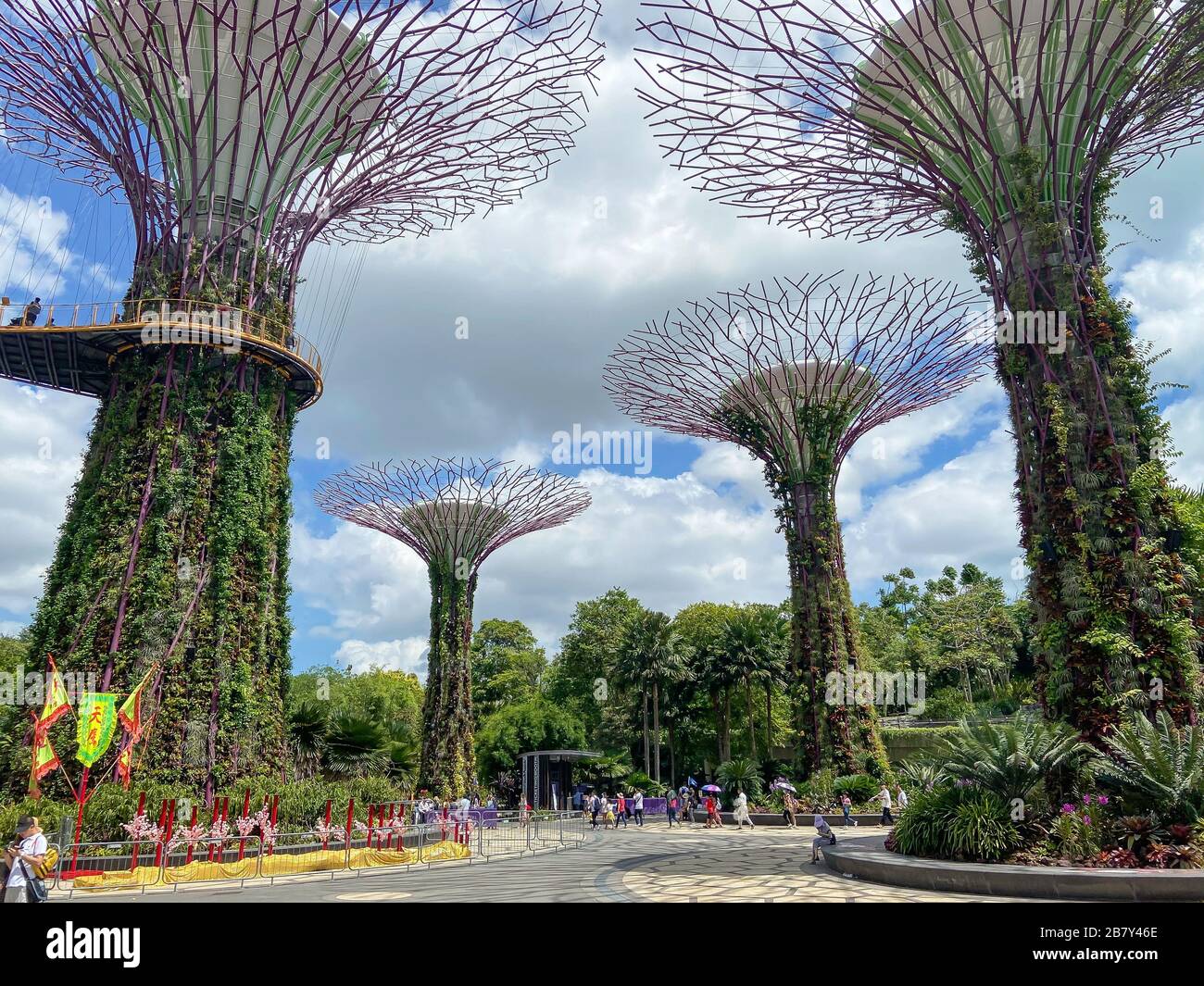 Supertree Grove and Skyway, Gardens by the Bay, Marina Bay, Singapore Island (Pulau Ujong), Singapore Stock Photo