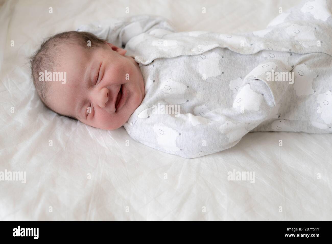 dream collection baby newborn