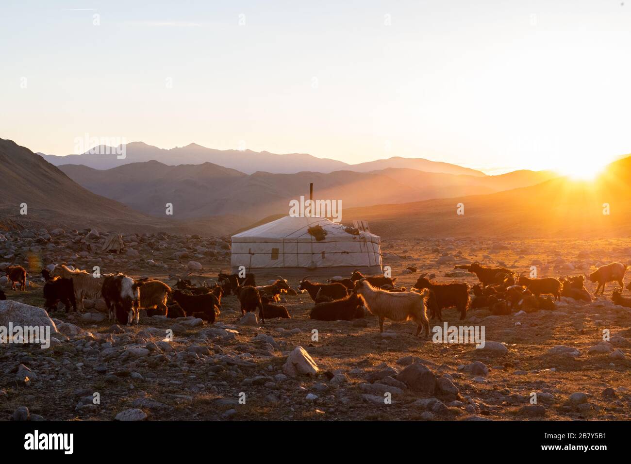 Traveling with the Nomadic people of Mongolia as they migrate from their winter location to Summer location Stock Photo