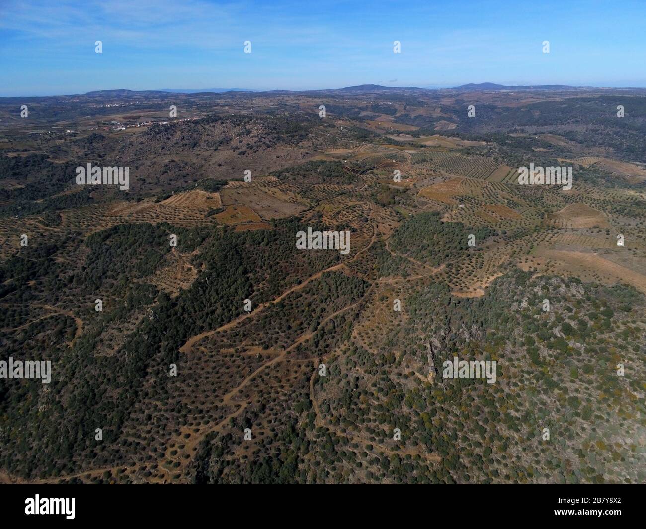 Aerial shot of forested fields under a blue sky in Pereña de la Ribera. Salamanca, Spain Stock Photo