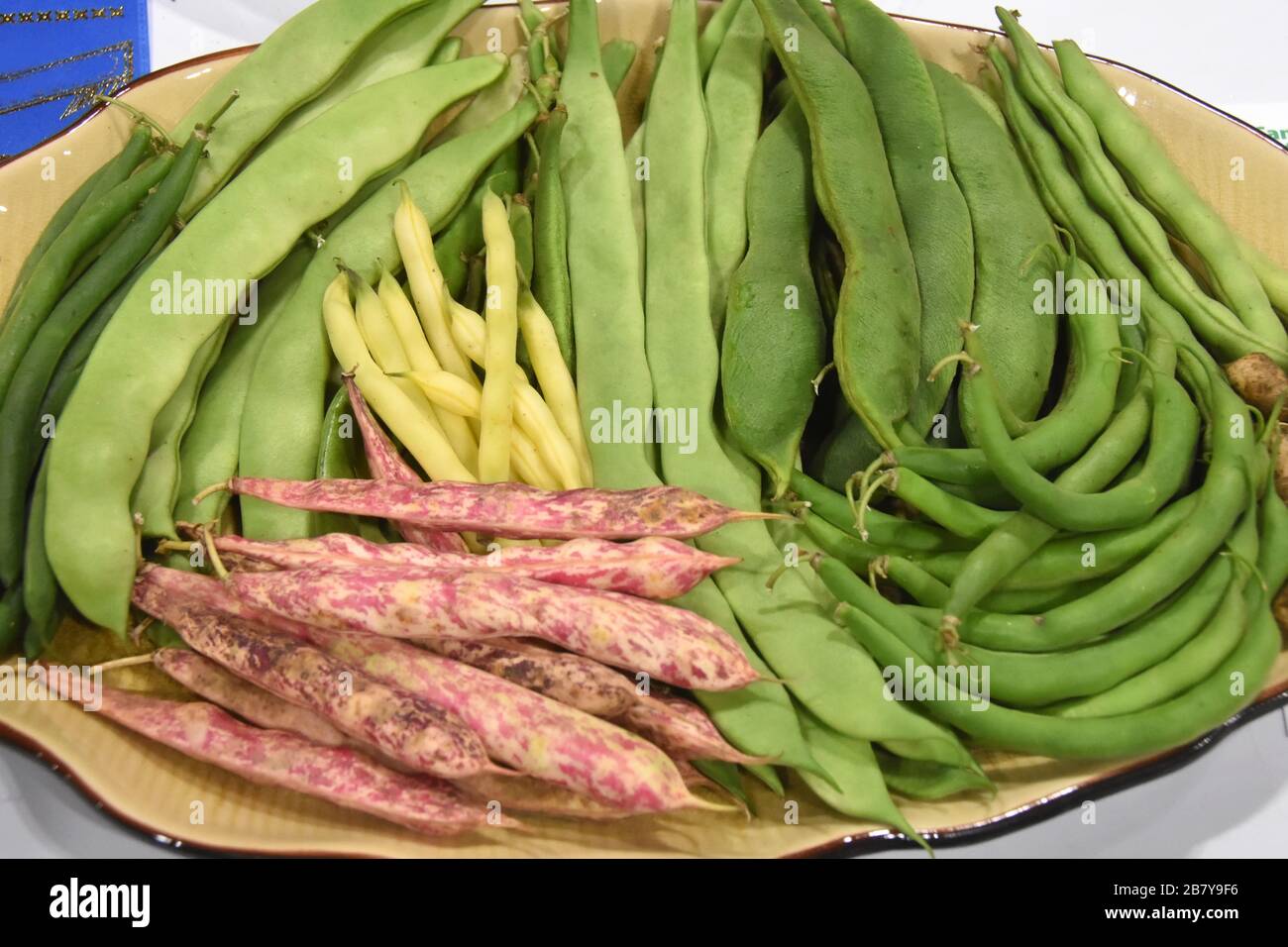 Peas variety Stock Photo