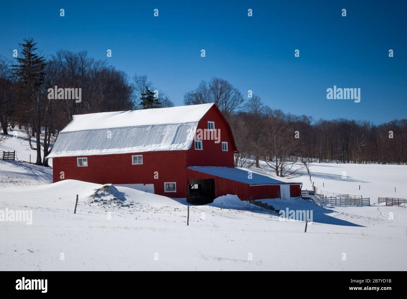 Red barn in Canaan Valley West Virginia surrounded by snow under a clear blue sky Stock Photo