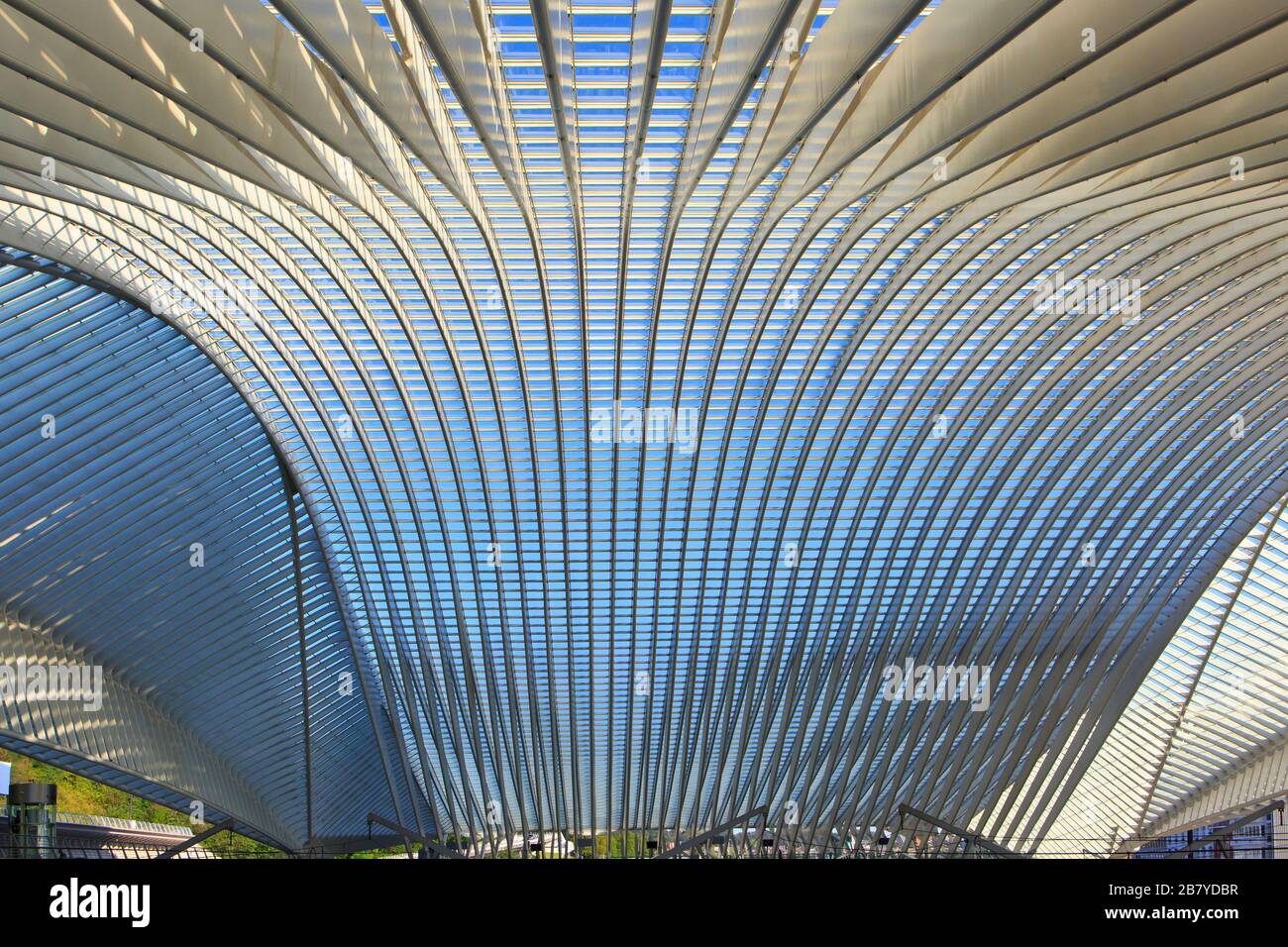The curbed glass ceiling/roof of the Liege-Guillemins railway station (2009) by Santiago Calatrava in Liege, Belgium Stock Photo