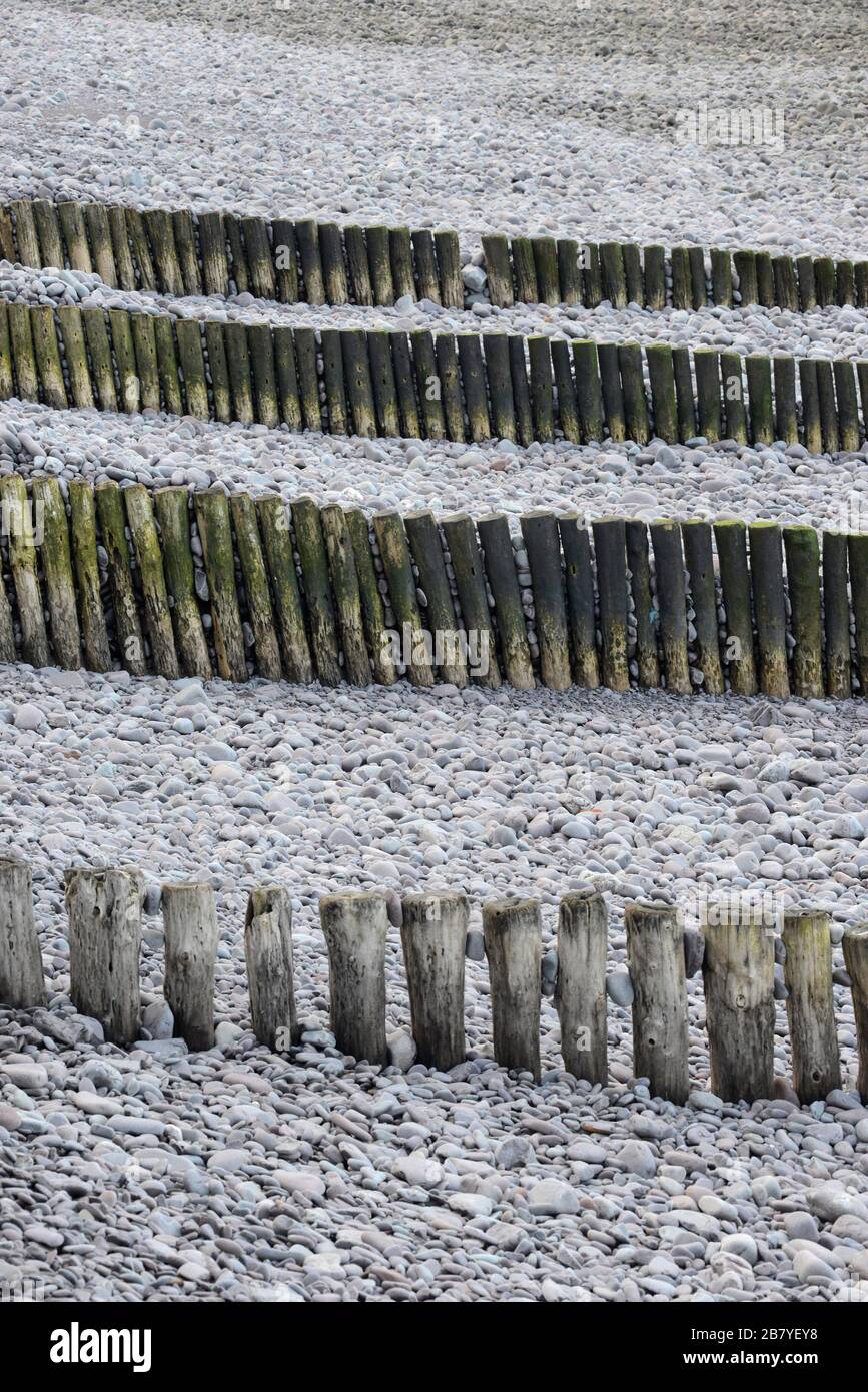 Groynes comprising upright wooden poles at the beach in Minehead, Somerset, UK Stock Photo