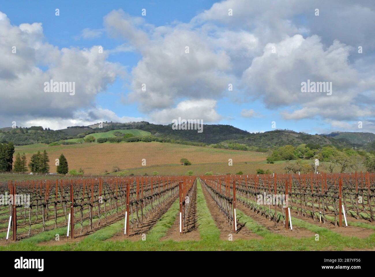 hwy 12 winery in sonoma county wine country california Stock Photo
