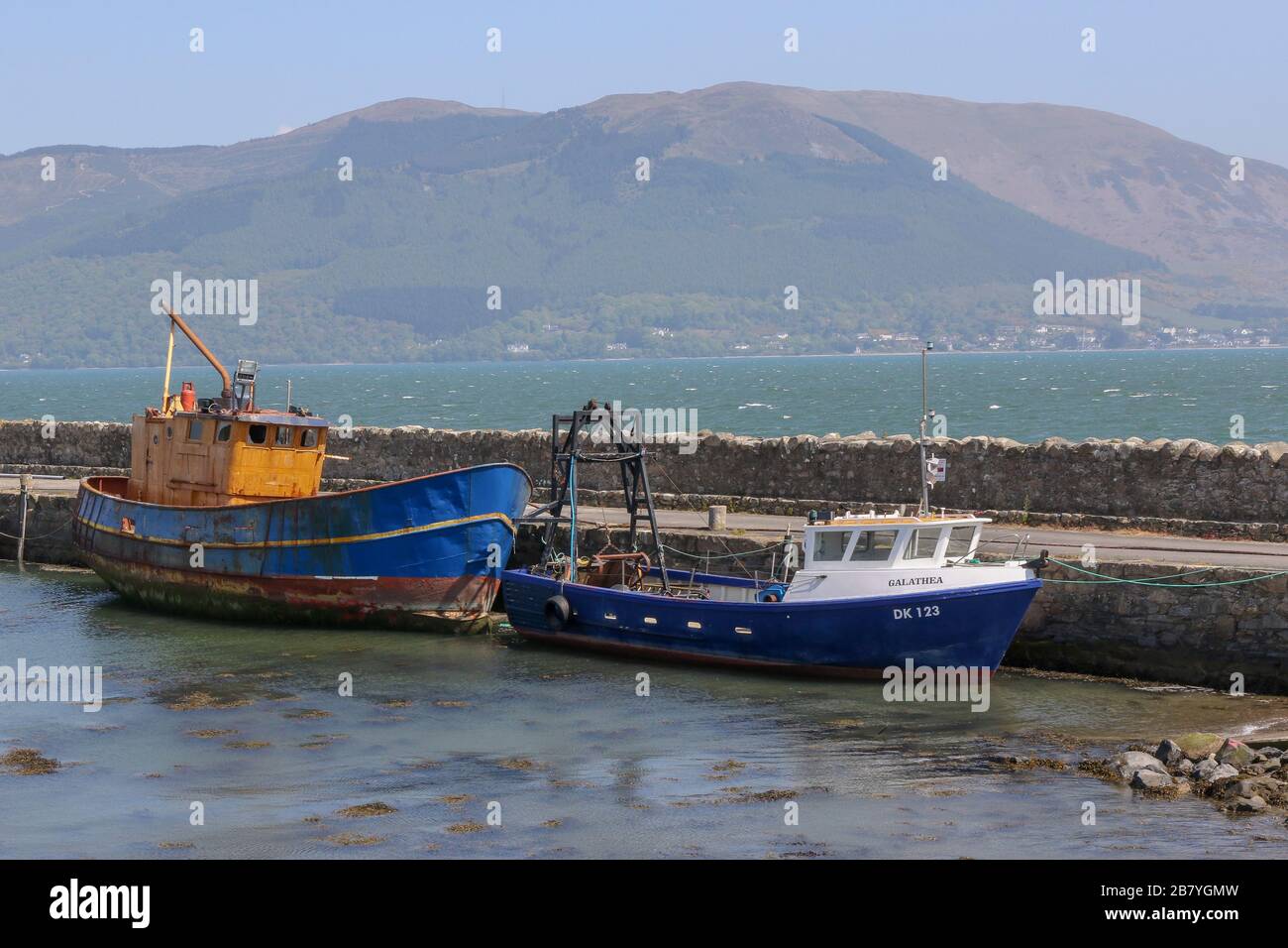 Sunny day carlingford lough hires stock photography and images Alamy