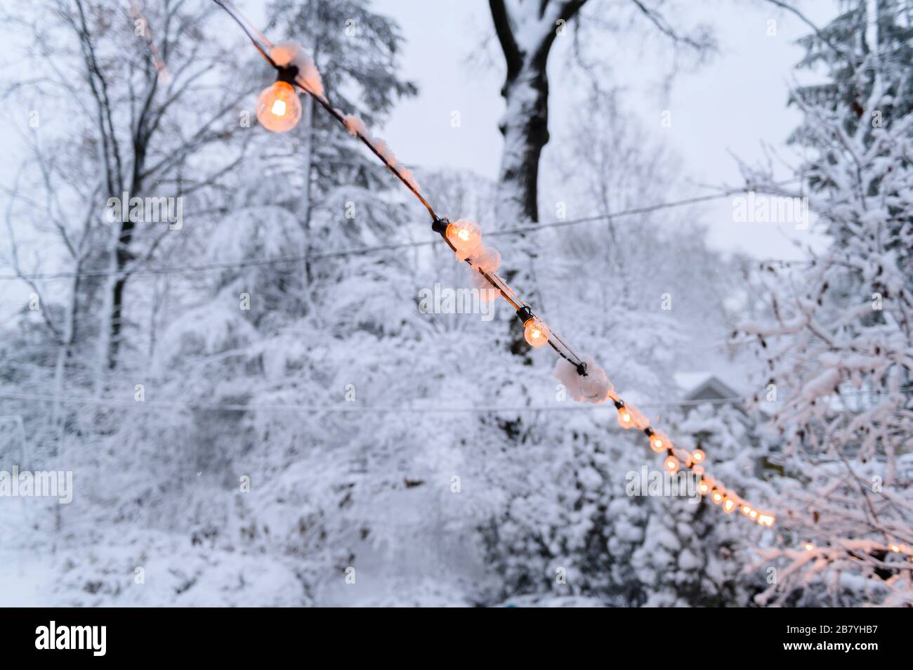 Snow on fairy lights Stock Photo